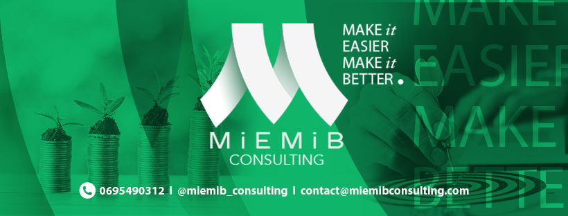 MiEMiB Consulting