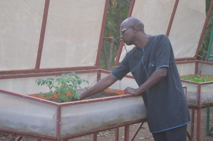 Rahim Bâ, entrepreneur agriculture bio Sénégal