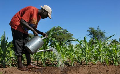 Acheter un terrain agricole au Sénégal_