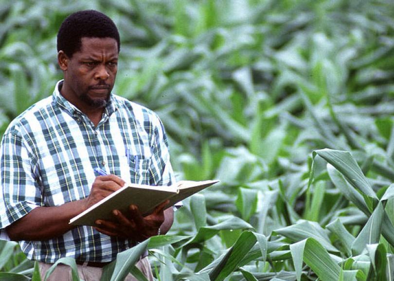 La formation agricole à distance : une solution pratique pour se reconvertir dans l’agriculture