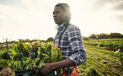 formation agriculture Sénégal